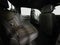 2025 Chevrolet Silverado 3500 HD High Country